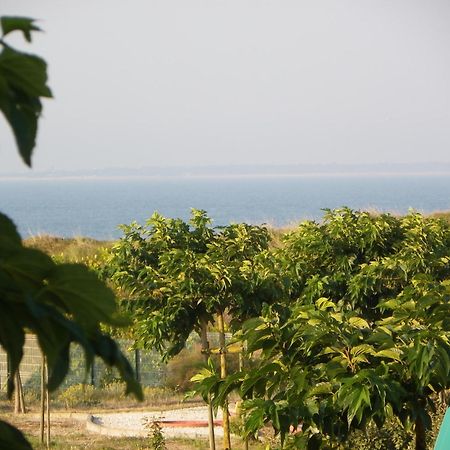 Au Petit Bonheur La Tranche-sur-Mer Exterior foto
