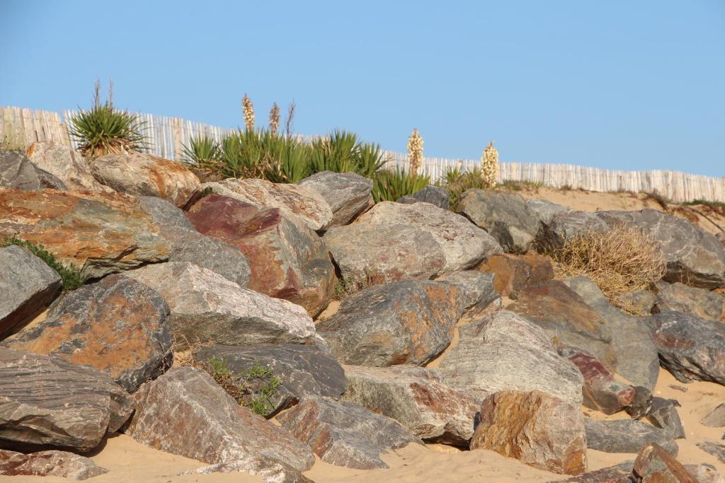 Au Petit Bonheur La Tranche-sur-Mer Exterior foto